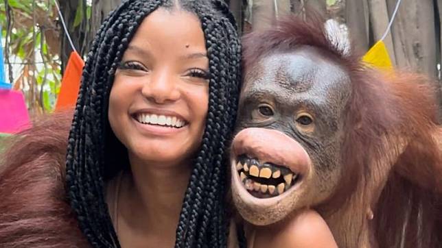 ▲因飾演《小美人魚》女主角的荷莉貝莉，日前到泰國知名動物園跟猩猩互動拍照，遭到動保人士痛罵是在支持虐待動物，引發爭議。（圖／翻攝荷莉貝莉IG）