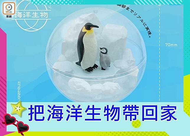 日本Qualia推出了「カプリウムコレクション海洋生物」系列扭蛋，把海洋生物和居住環境做到一個小球內。（互聯網）