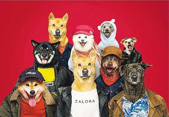 擬人法拍攝——宣傳照由PAWS Studio寵物攝影操刀，並請來救狗之家（HKDR）的狗狗擔任「模特兒」，擬人化的拍攝手法，幽默又時尚。（品牌提供）