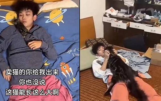 阿嬤養的？趴肩頭巴掌大小貓一年內暴風增長到180公分　主人嘆：比我還高