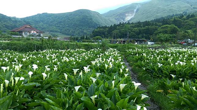 圖片來源：Ig＠UnLazyBones