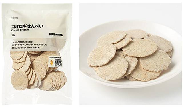 
<p>圖片來源：<a href=