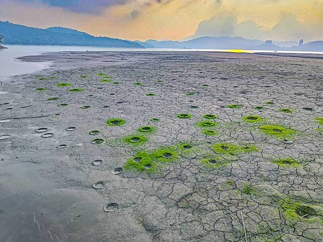日月潭水位大降沙洲浮現，但沙洲卻出現密集小凹洞，猶如「迷你隕石坑」，乍看就像月球表面。(攝影師孫大偉提供)
