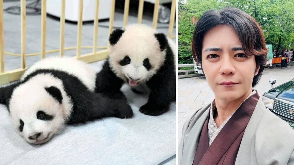 帥又親台！日議員「想看熊貓來台灣就好」 國台辦跳腳| 壹蘋新聞網| LINE TODAY