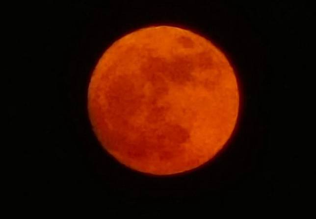 今年最後一次超級月亮十四日凌晨二時三十八分迎來最大滿月。（記者陳金龍攝）