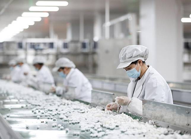 Employees collect cocoons at a production line of Yashilin Changsha (International) Silkworm Silk Intellectual Industry Project in Changsha, central China's Hunan Province, Nov. 24, 2024. (Xinhua/Wang Jingqiang)