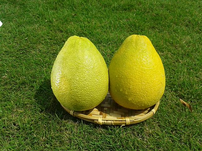  ▲除了柚子醋，你還有私房柚子文旦變身料理嗎？歡迎來交流唷！（圖/奧丁丁市集）