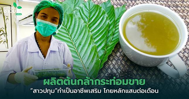 11กล้ากระท่อม