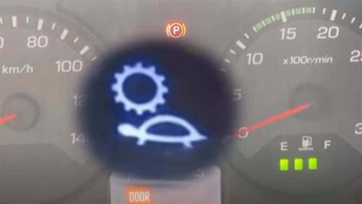 儀錶板上出現「烏龜曬太陽」？ 內行人解密：現在很少見了| EBC 東森新聞| LINE TODAY