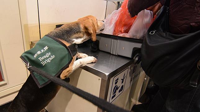長榮機長攜台灣肉包入境，被檢疫犬聞出來。示意圖／中央社