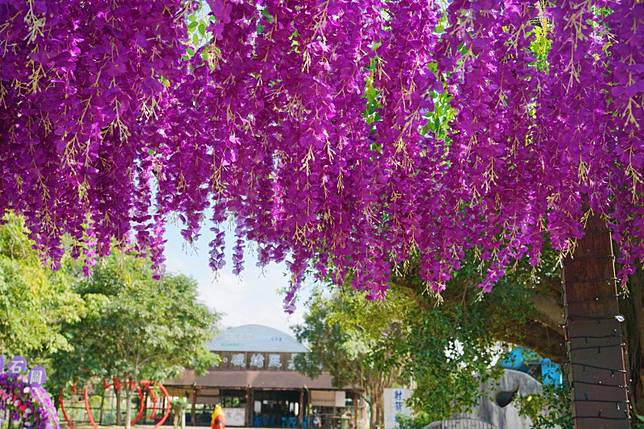 圖片來源：攝影師徐世超