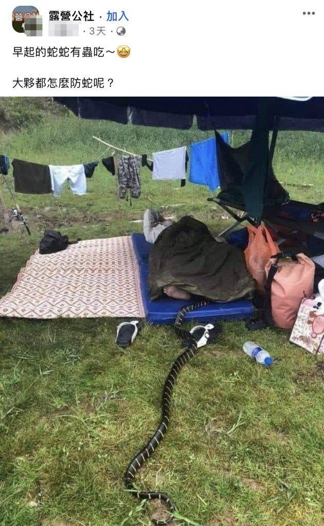 露營男子睡覺驚遇巨型長條物鑽入兩腿之間？！（圖片來源：Facebook@「露營公社」截圖）