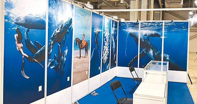 國際潛水展疑賣保育類「鯨骨項鍊」被檢舉　廠商稱「海報打錯字」：是牛骨製