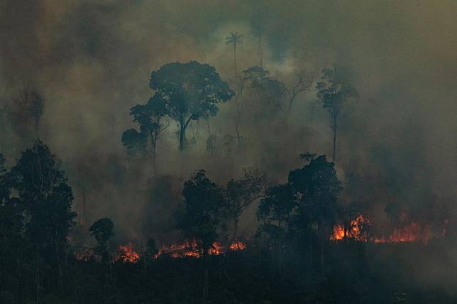 亞馬遜雨林在9月發生火災的次數飆升，成為逾10年以來最嚴重的一個月。(圖：綠色和平)