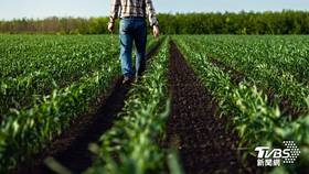 這起事件本月12日發生在巴西巴伊亞州伊列烏斯市的「拜辛哈農場」。（示意圖／達志影像shutterstock）