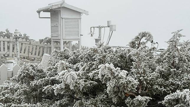 冷氣團來襲，各地低溫，玉山氣象站清晨7時溫度-4.1℃，出現霧淞、雨淞。氣象署提供