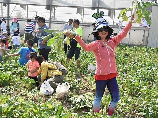 圖片：高市府農業局提供