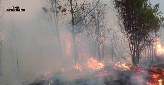 เร่งดับไฟป่าภูกระดึง คาดเสียหายหนักกว่า​ 2​ พันไร่​ เร่งทำแนวกันไฟ ชิงเผาจำกัดวงตลอดทั้งคืน​