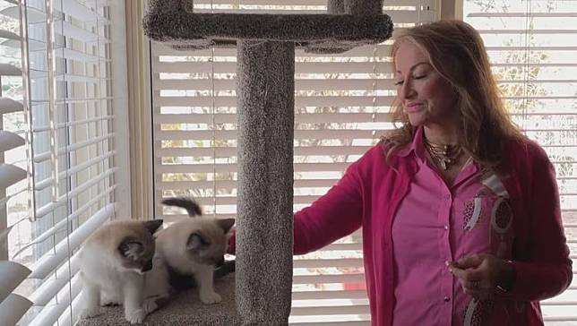 加拿大女子史都華砸大錢複製車禍過世的愛貓。翻攝自CBC