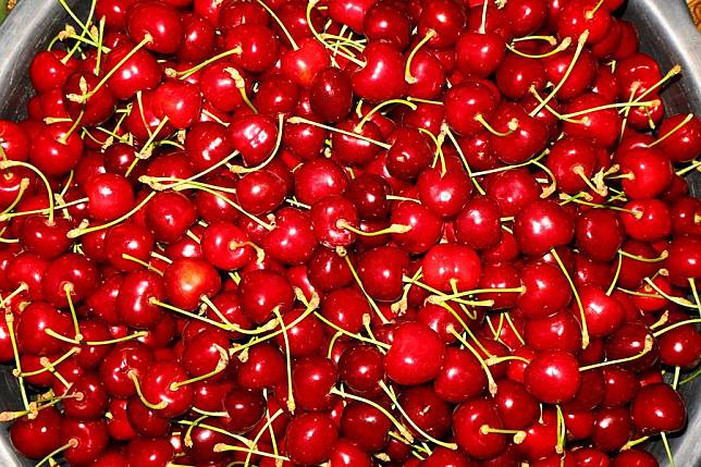 ‘เชอร์รี’ สดจากไร่พร้อมเก็บเกี่ยวในอุซเบกิสถาน