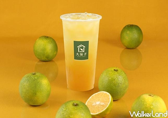 大苑子 台灣鮮搾柳丁綠 / WalkerLand窩客島提供 未經許可，不得轉載