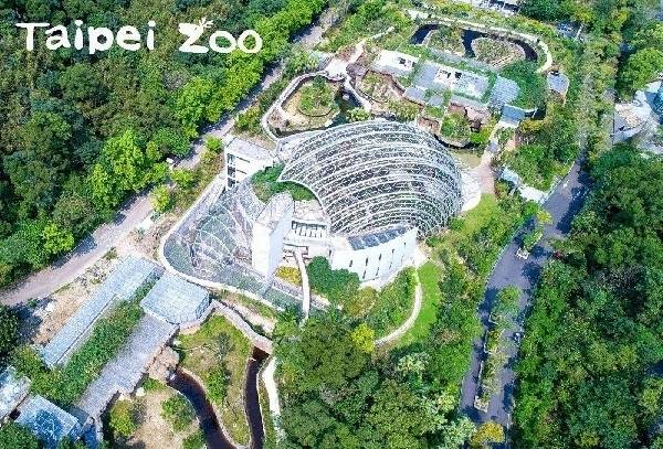 親近水豚君免出國！木柵動物園「熱帶雨林館」開放，7大特色搶先看