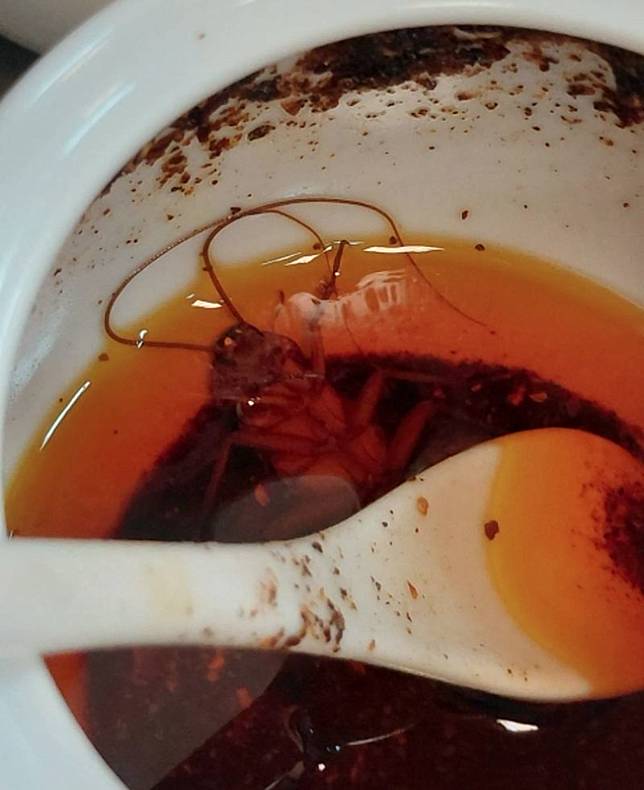 桌上的辣油罐內竟泡著一隻身形完整、觸角清晰的大蟑螂，畫面令人作嘔。（翻攝自臉書/{仁武人}※大小事）