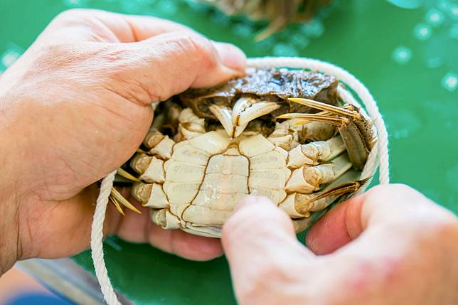 ▲大閘蟹只要用簡單方式烹調就很好吃（圖/奧丁丁市集）