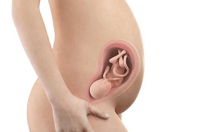 懷孕第28週：減輕水腫 暫緩美容治療