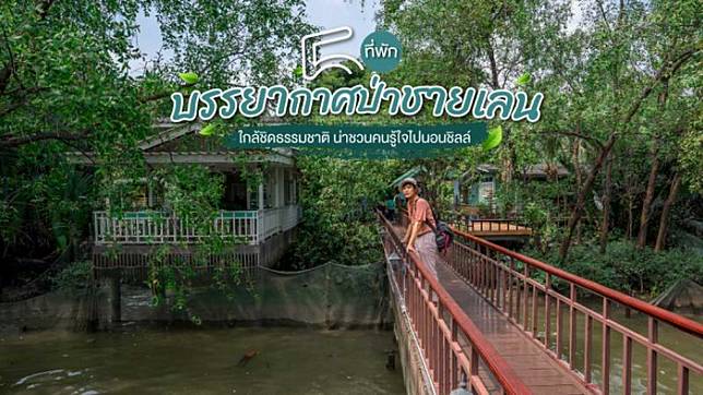 5 ที่พักบรรยากาศป่าชายเลน ใกล้ชิดธรรมชาติน่าชวนคนรู้ใจไปนอนชิลล์