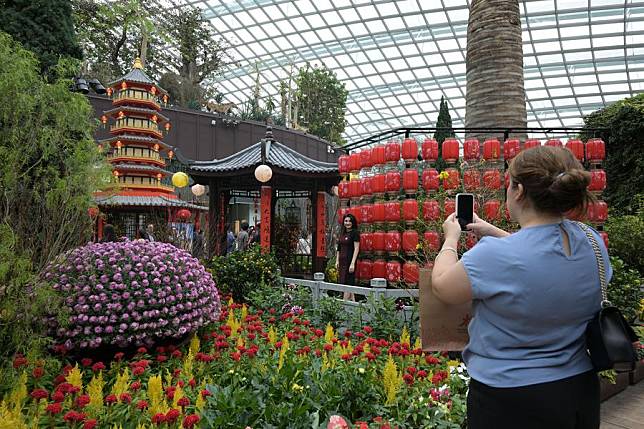 A visitor takes photos at the Chinese New Year floral display &ldquo;Spring Blossoms&rdquo; held in the Flower Dome of Singapore's Gardens by the Bay on Jan 17, 2025. (Xinhua/Then Chih Wey)