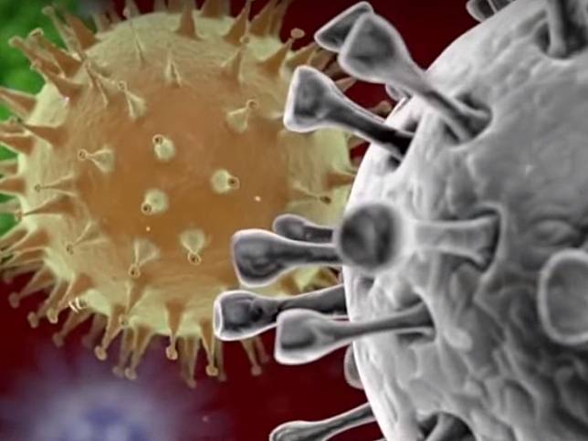美國流感死者部分死於新冠肺炎？CDC：沒證據