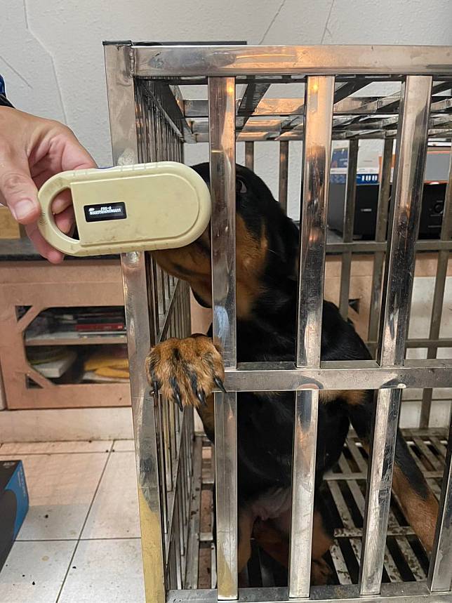 警方查出，陳男先在寵物店購買羅威納幼犬，並設局讓寵物店帳戶遭凍結。（翻攝畫面）