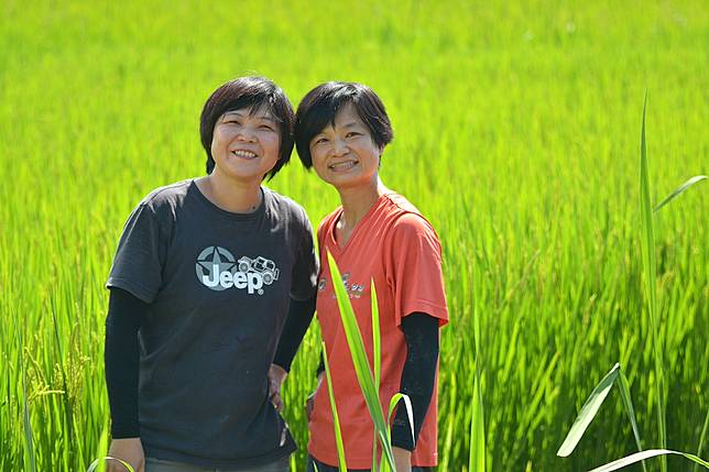 從女孩到女農，李茶與田菁相伴相守十多年，「心中因務農快活，才能在農村久留」