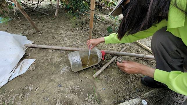 大寮區後庄里菜園發現病媒蚊孑孓遭開單告發。 圖：高雄市衛生局提供