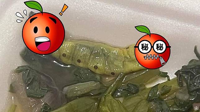 網友外食驚見自助餐盤的青菜裡混雜一隻巨大菜蟲。翻攝自臉書「爆廢公社」