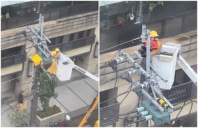 台電員工升級鳥巢的暖舉獲網友盛讚。 圖：翻攝自Threads