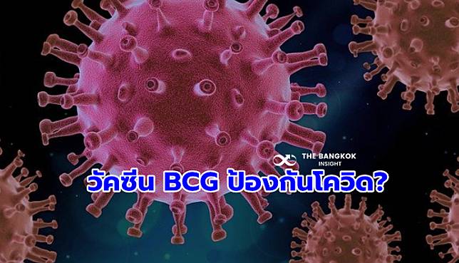 ‘นพ.ยง’ ไขข้อสงสัย ‘วัคซีน BCG’ ป้องกันโควิดได้จริงหรือ?