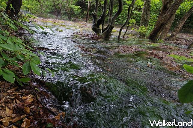 探索秋田縣清涼避暑景點和夏季活動，體驗鳥海山、法體瀑布、稻田藝術等多項夏日樂趣