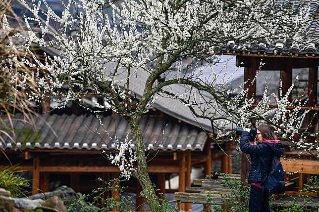 A foreign tourist takes photos at the Dali Dong Village, Rongjiang County of southwest China's Guizhou Province, March 18, 2024. (Xinhua/Yang Wenbin)