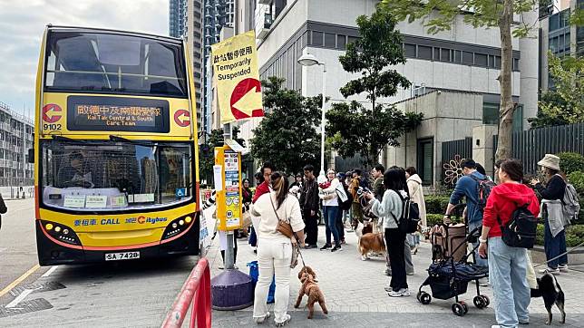 啟德街坊攜同寵物參加活動　張曉欣攝