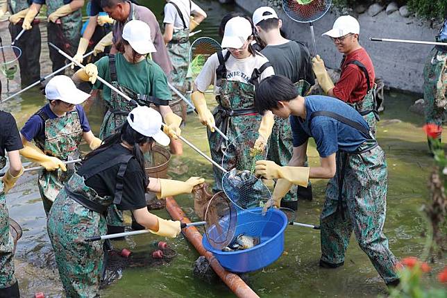 國立成功大學執行光復校區成功湖抽水清淤，並把握機會進行環境教育，21日讓學生們著青蛙裝，撈出魚、龜等生物及雜物。（成功大學提供）中央社記者楊思瑞台南傳真113年10月21日  
