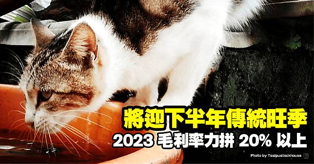 將迎下半年傳統旺季，2023 毛利率力拼 20% 以上