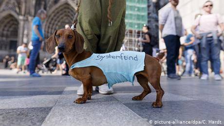 科隆大教堂前的抗議活動，小狗也穿上了帶有標語的衣服
