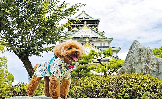 寵物也旅遊——近年寵物旅遊興起，主人跟狗狗一同旅遊，人狗同樂。（受訪者提供）