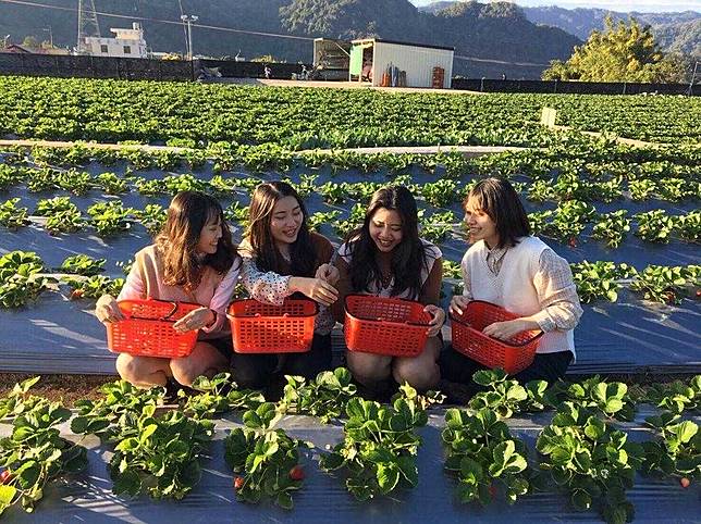 INSTAGRAM：@claudia_0414