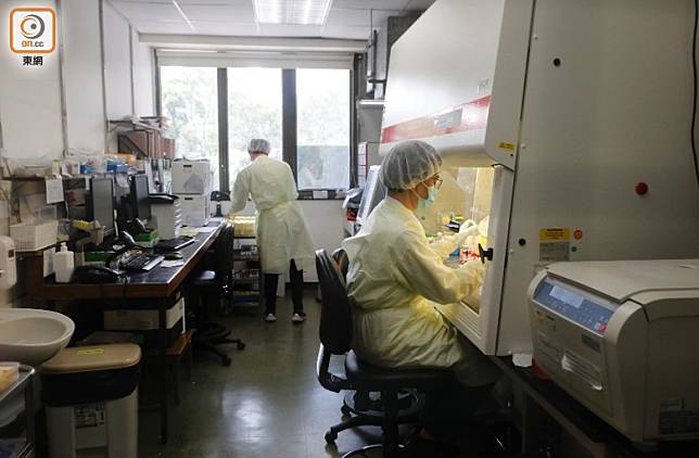 威爾斯親王醫院微生物科病毒化驗室現時每日可檢測逾三百個樣本。(陳德賢攝) 