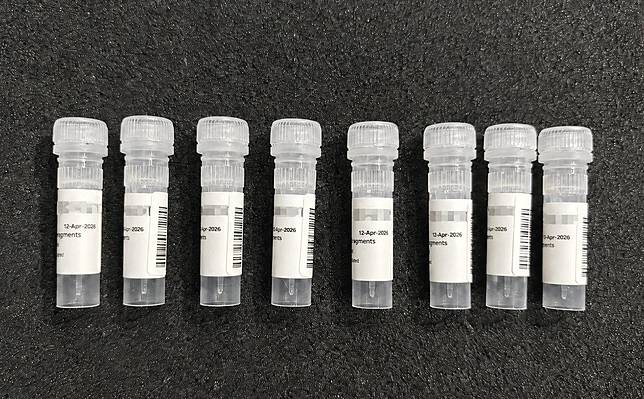 DNA 照片