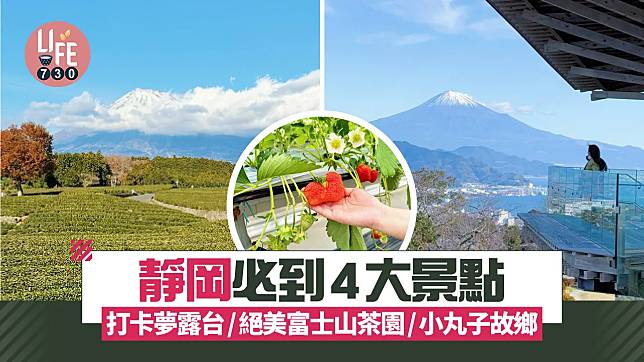 靜岡必到4大景點！打卡夢露台/絕美富士山茶園/小丸子故鄉