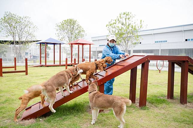 APAC Pet Center-1